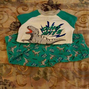 Boy's Dream Life Sleepwear Dinosaur Pajamas Size 10